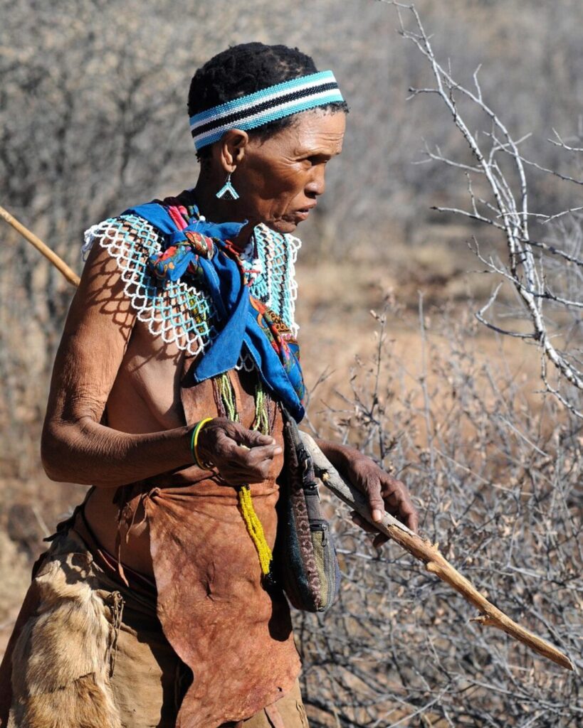 Primal Bar – Mediterraner Power-Riegel mit Weide-Rinderleber Vorfahren